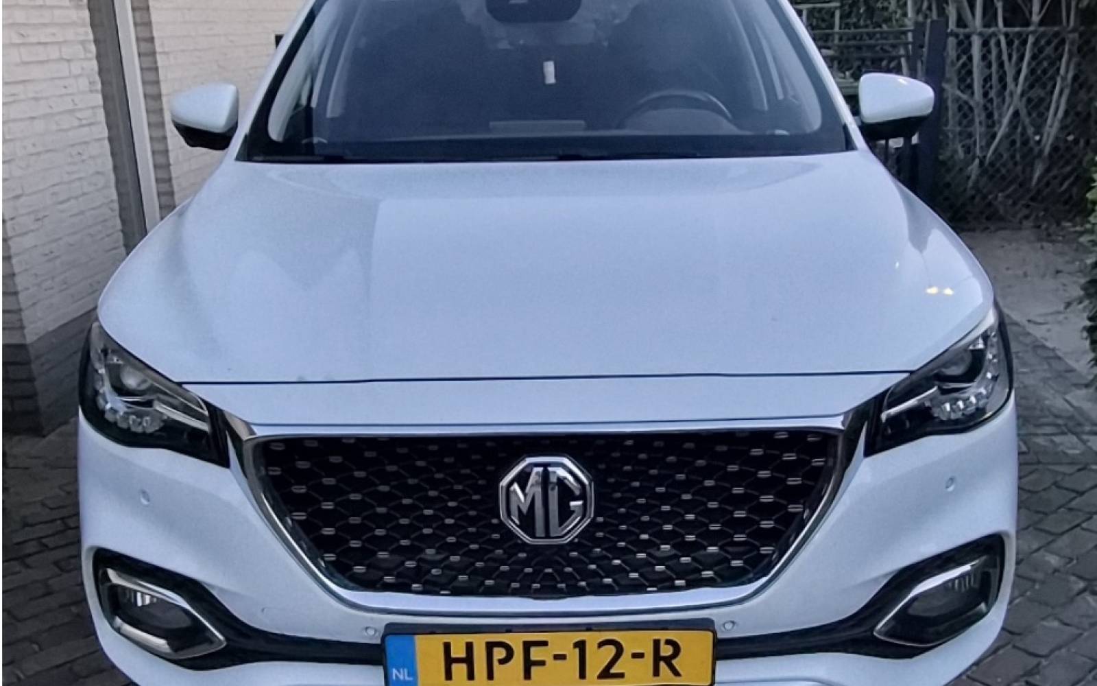 mg1.jpg