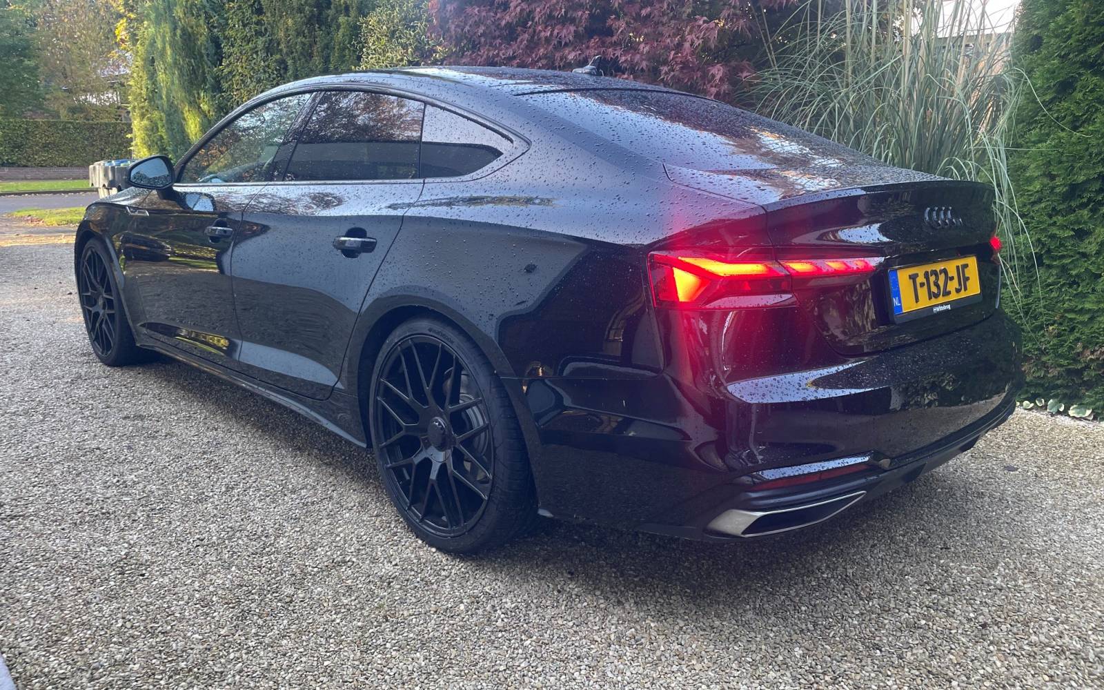 audi6.jpg