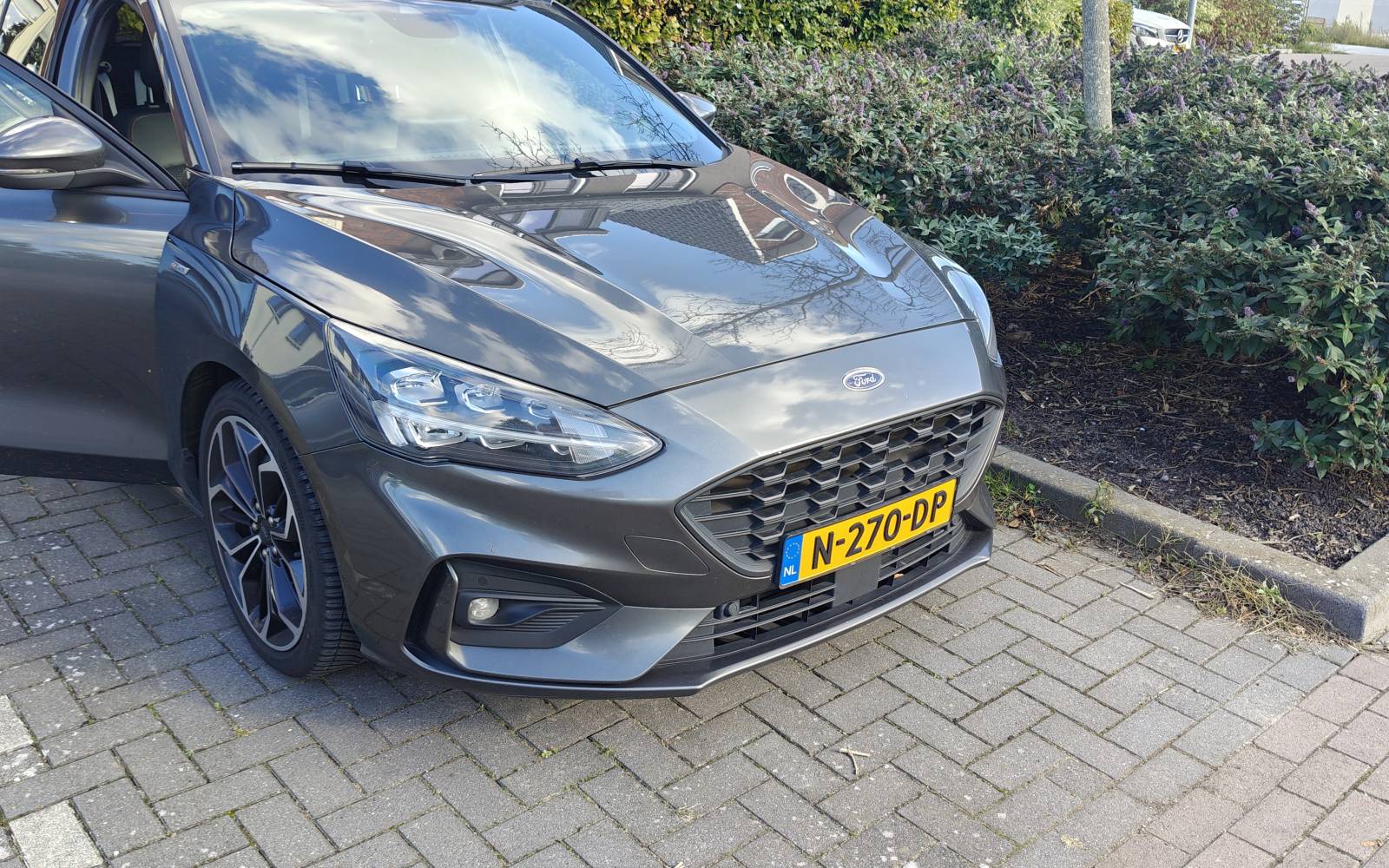 Ford Focus_1.jpg
