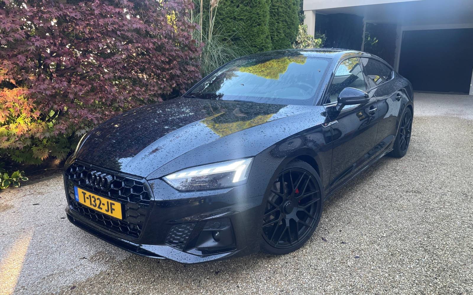 audi1.jpg