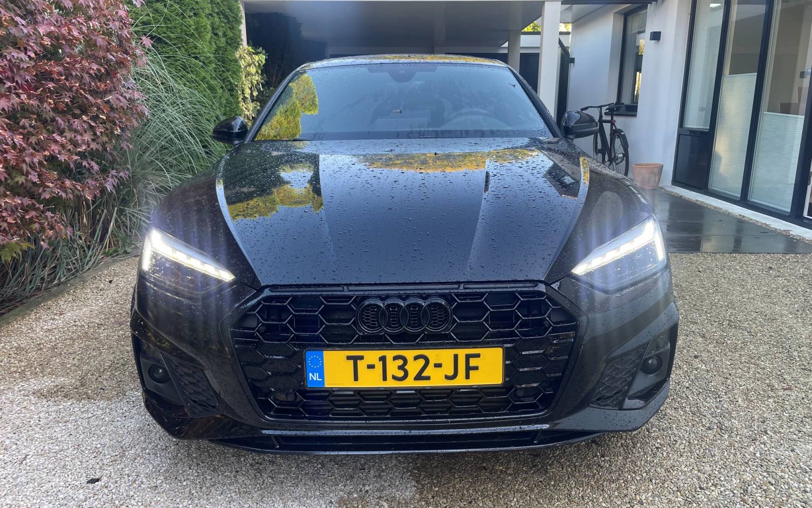 audi3.jpg