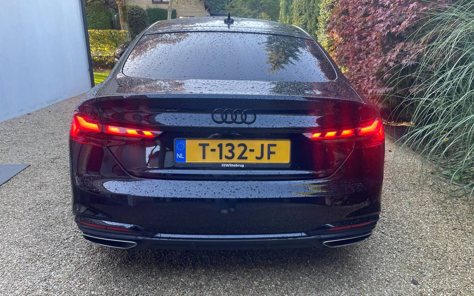 audi4.jpg