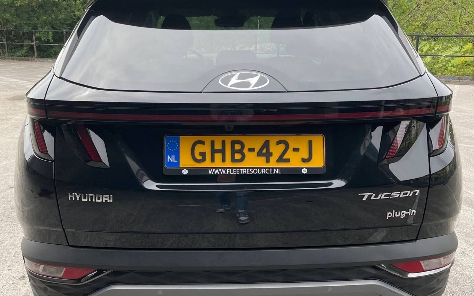 achterzijde.jpeg