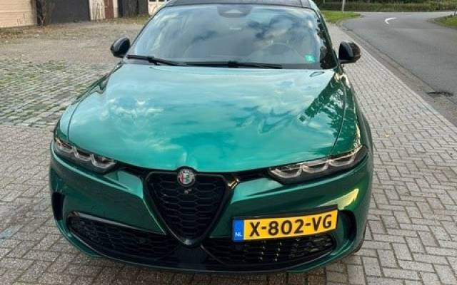 alfa1.jpg