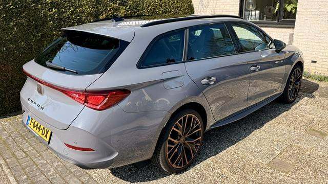 cupra2.jpg