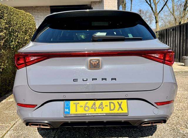 cupra3.jpg