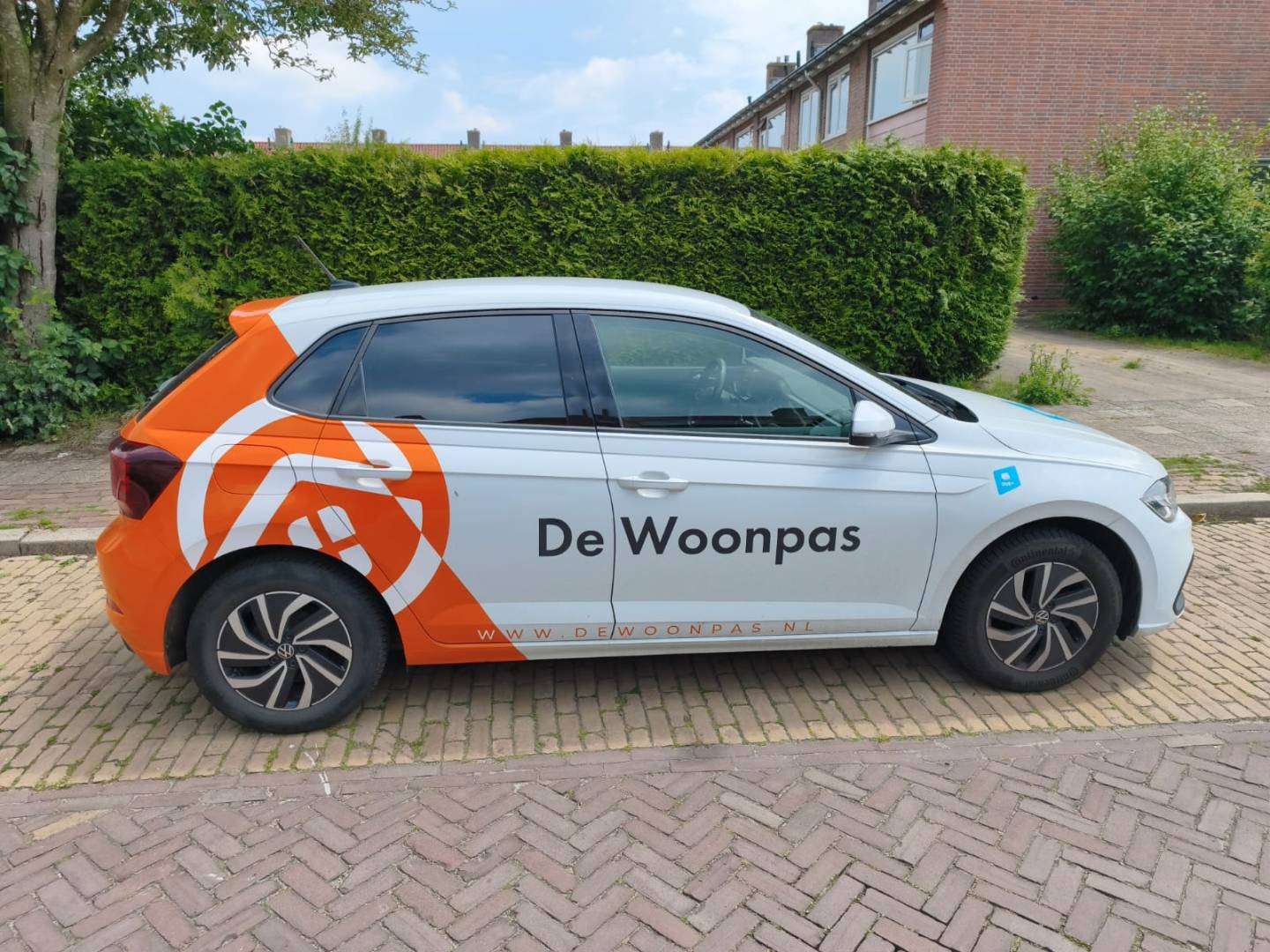 Polo5.jpg
