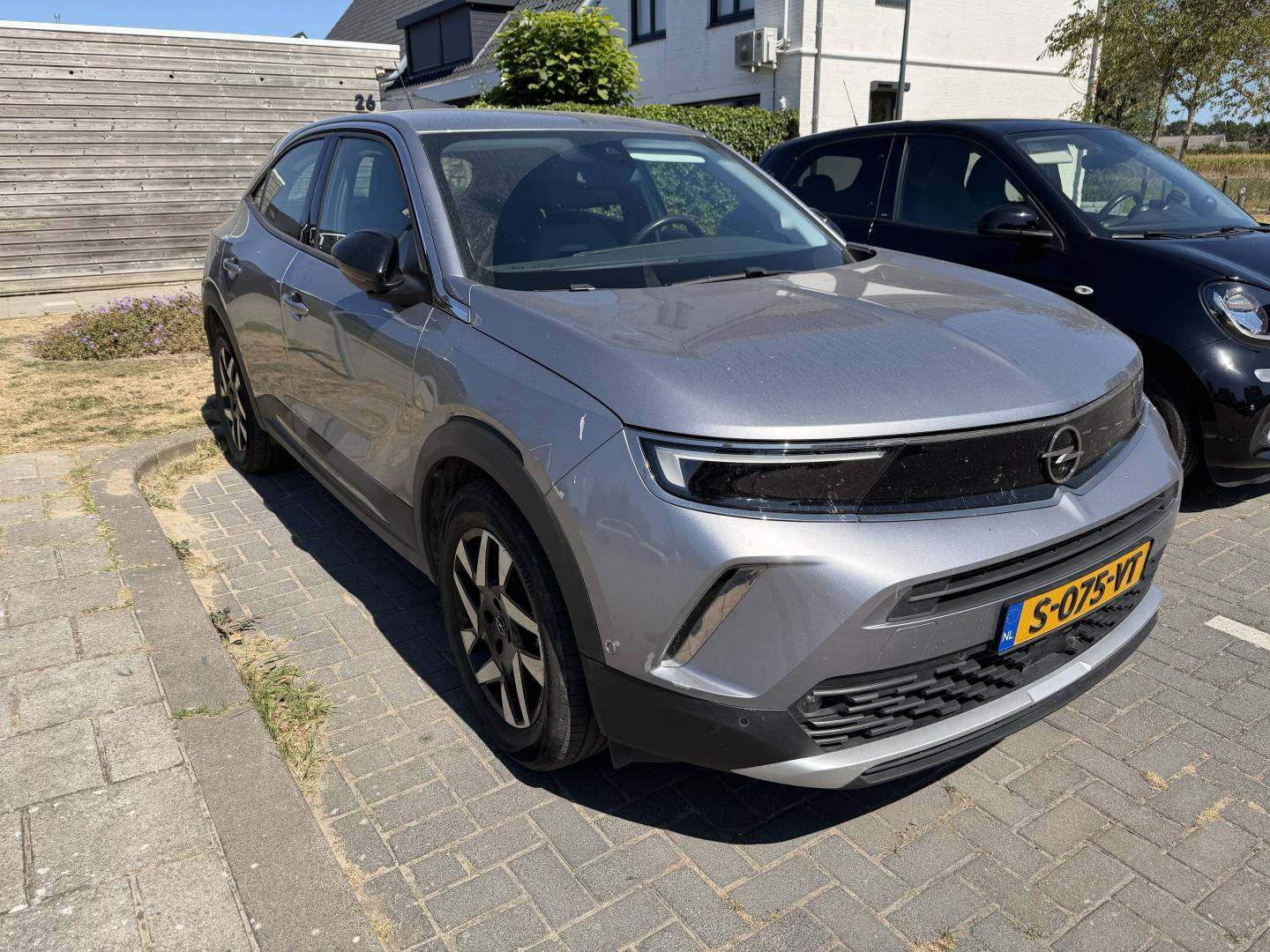 Mokka2.jpg