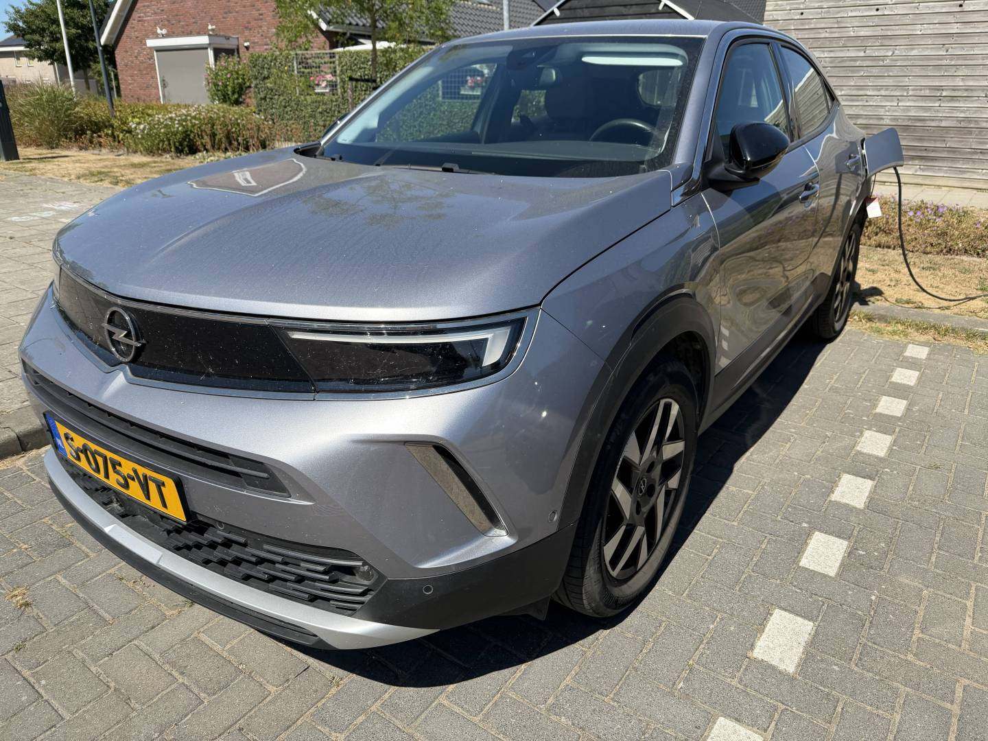 Mokka1.jpg