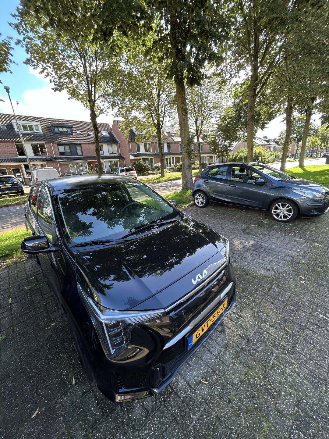 picanto2.jpg