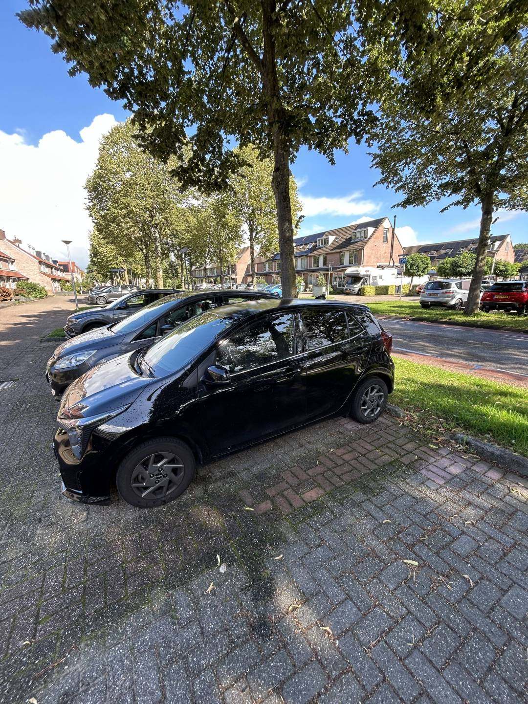 picanto1.jpg