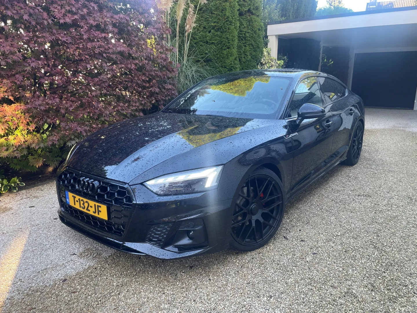audi1.jpg