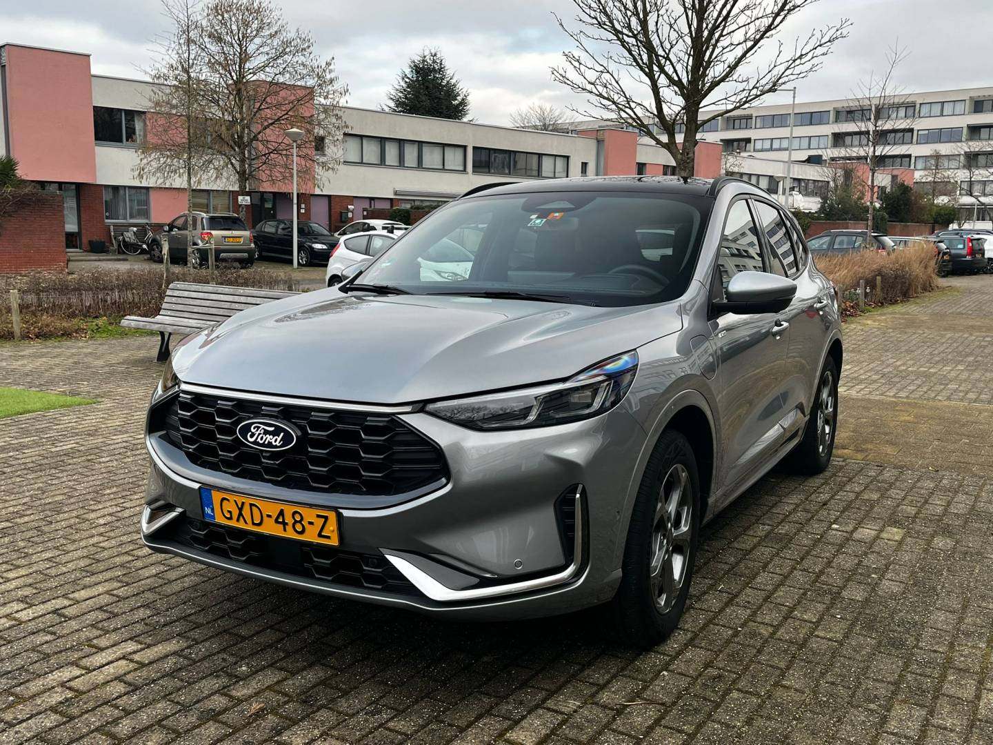 PHOTO-2026-02-02-14-29-15 (1).jpg