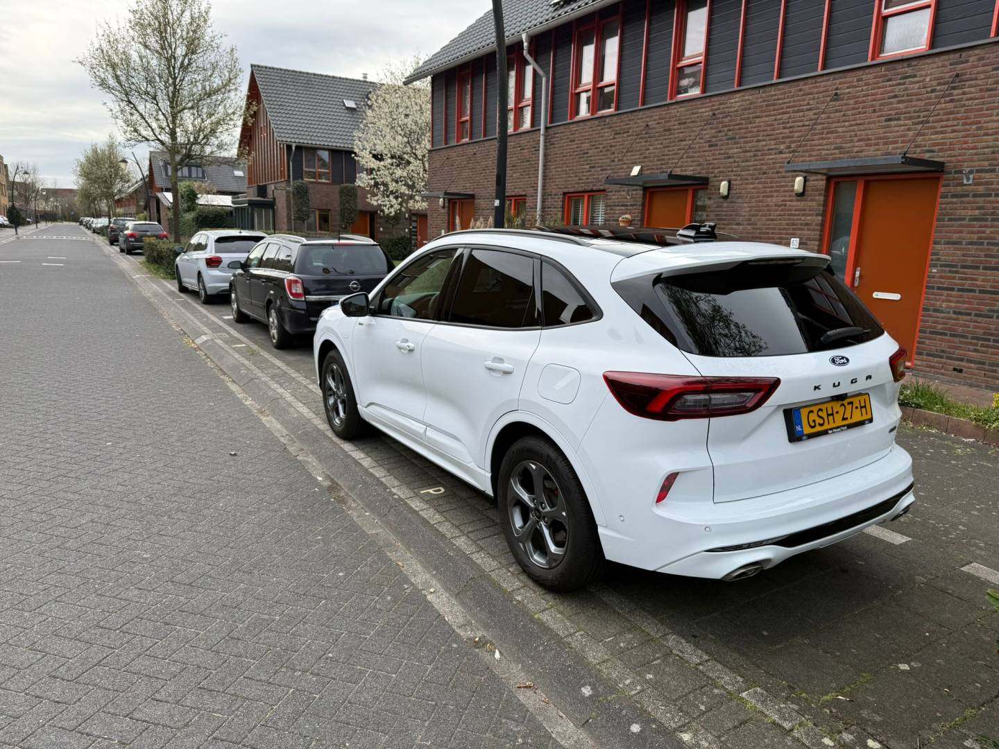 WhatsApp Image 2026-03-27 at 15.19.21.jpeg