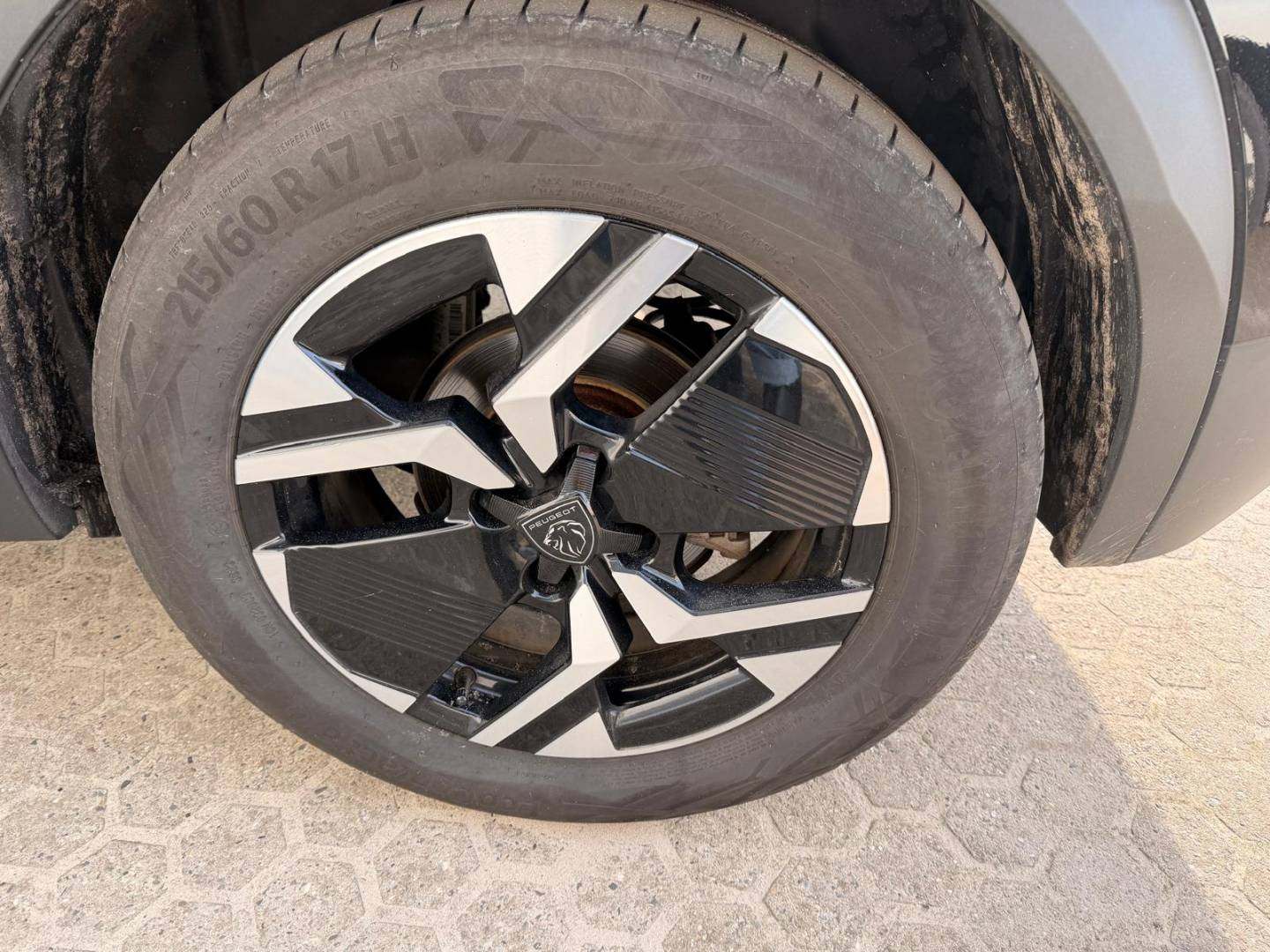 WhatsApp Image 2026-02-03 at 15.03.29 (4).jpeg