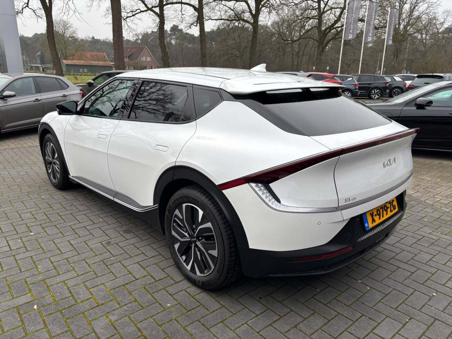 WhatsApp Image 2026-02-06 at 12.09.56 (3).jpeg