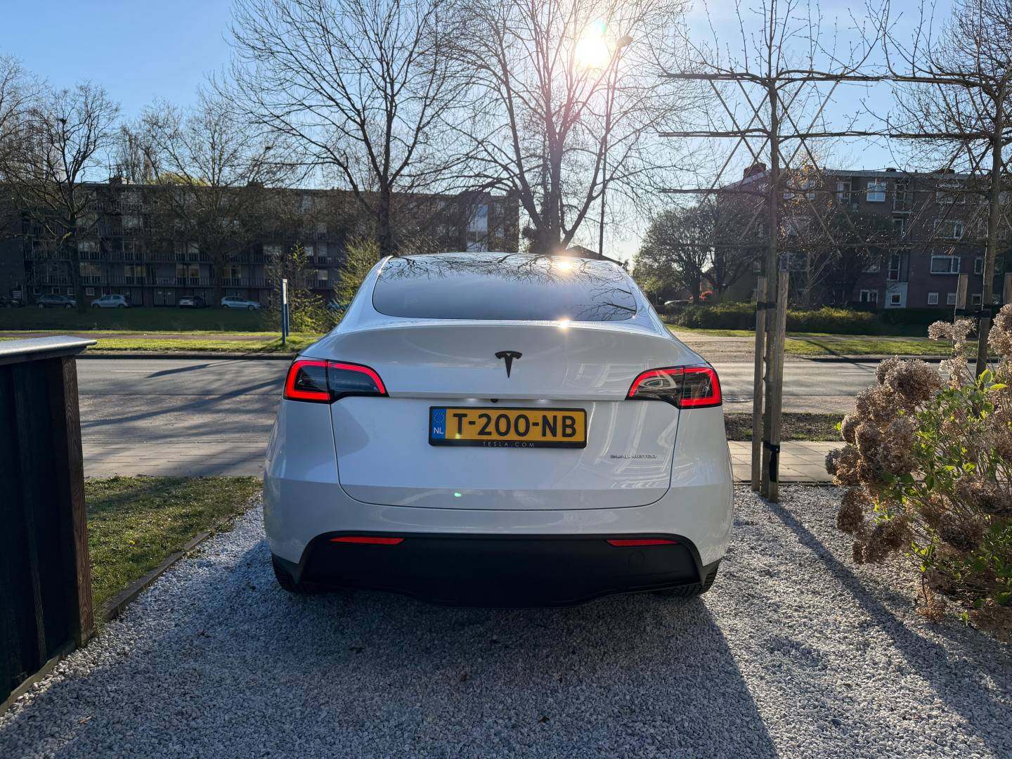 WhatsApp Image 2026-04-09 at 12.49.46 (5).jpeg