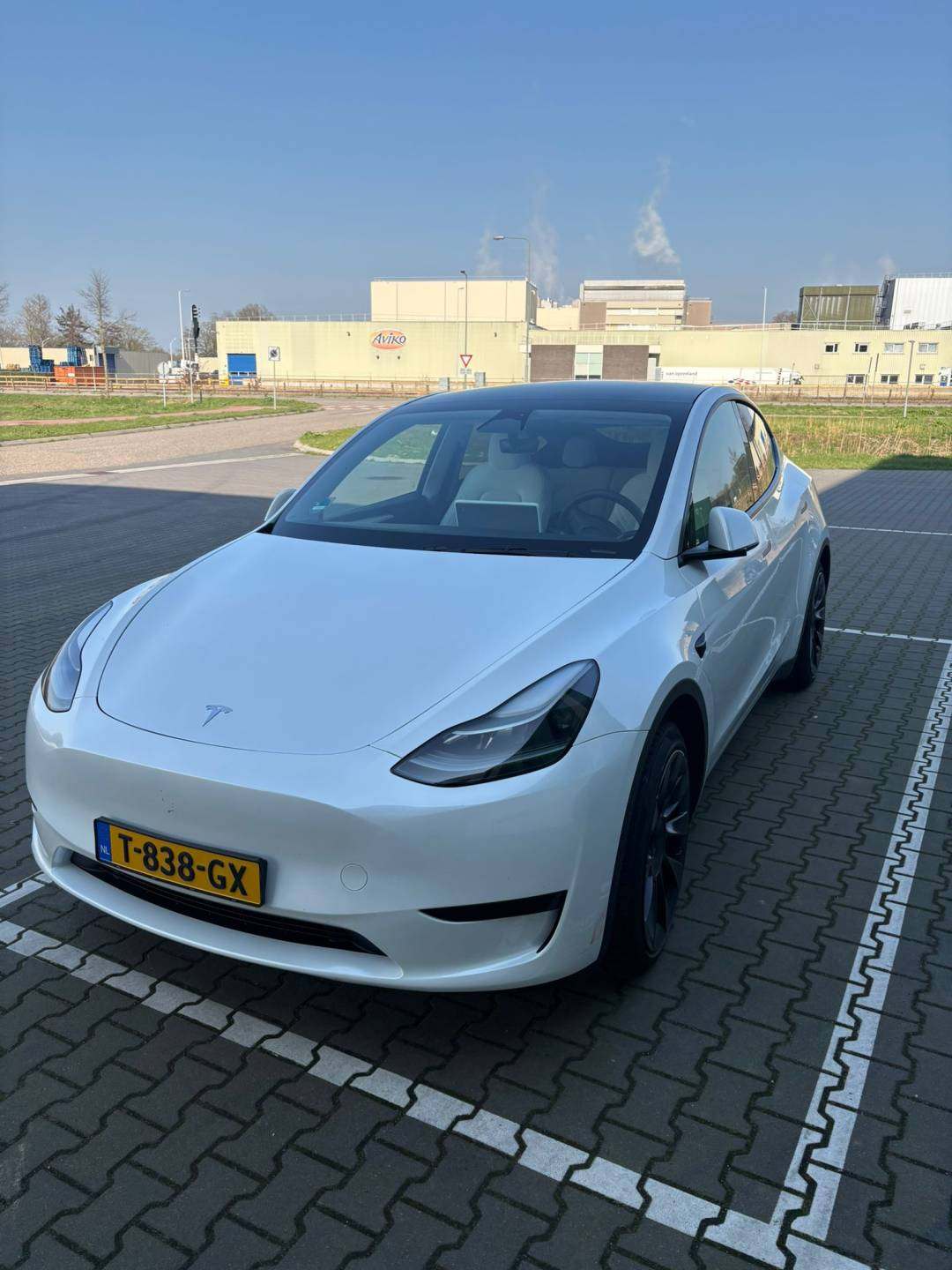 WhatsApp Image 2026-03-26 at 14.42.26 (1).jpeg