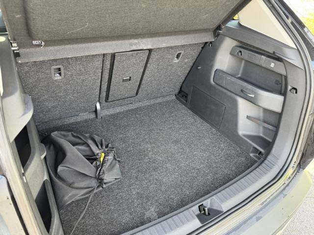 IMG_2256 Medium.jpeg