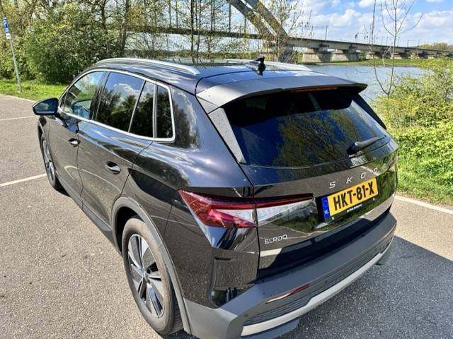 IMG_2257 Medium.jpeg