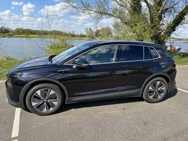 IMG_2259 Medium.jpeg