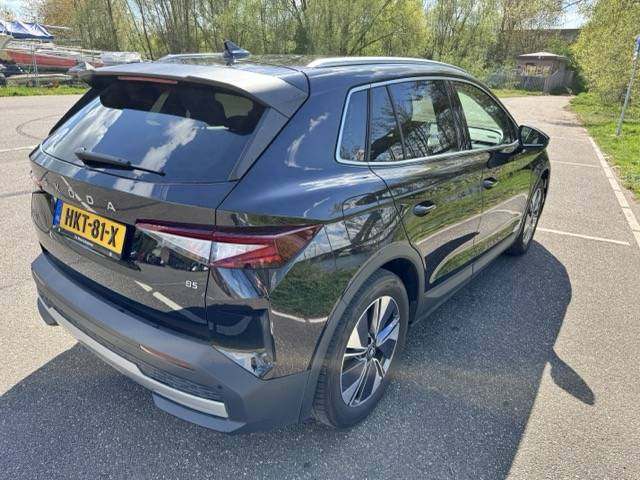 IMG_2262 Medium.jpeg