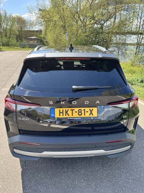 IMG_2264 Medium.jpeg