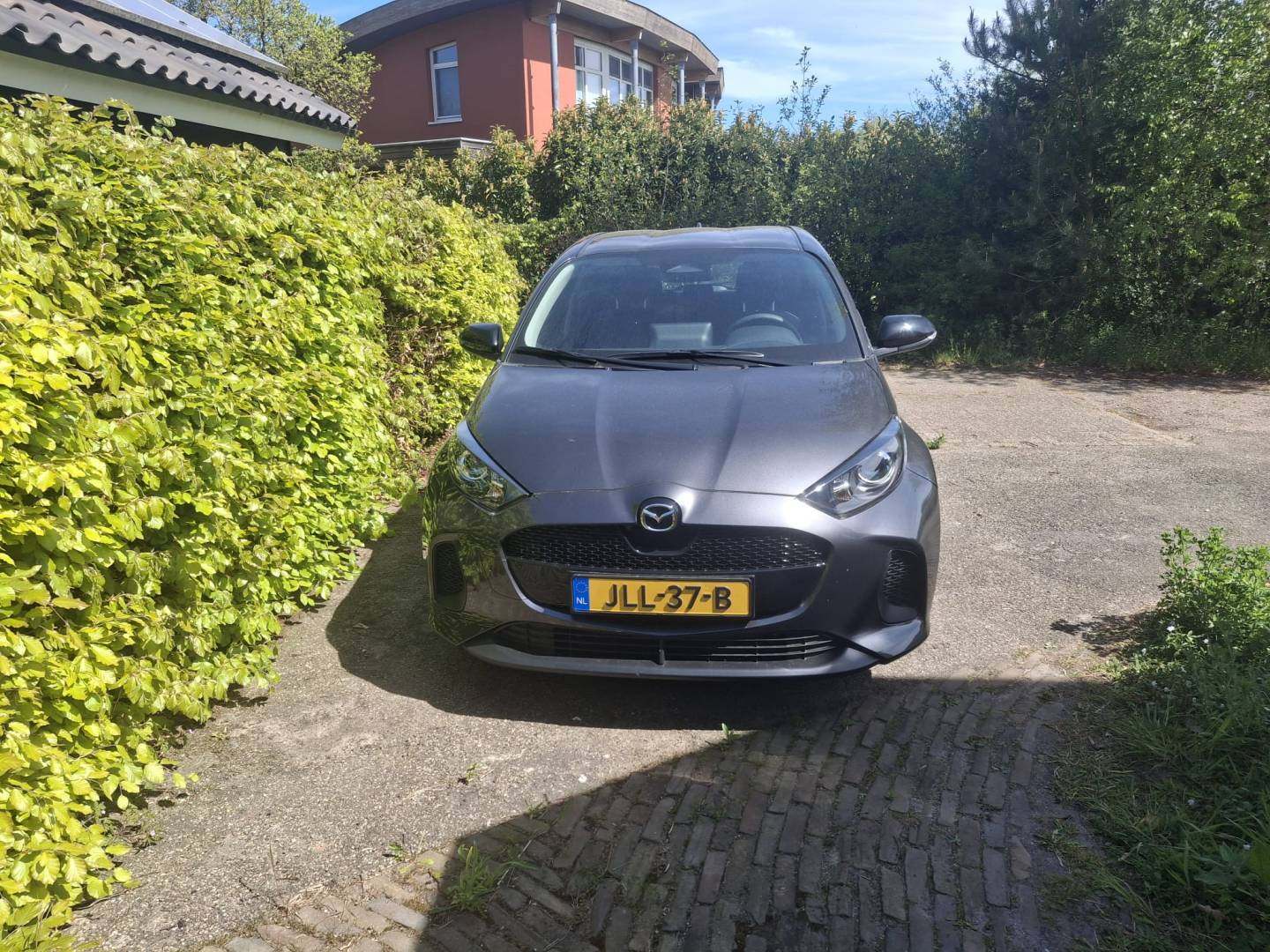 WhatsApp Image 2026-04-26 at 13.13.44.jpeg