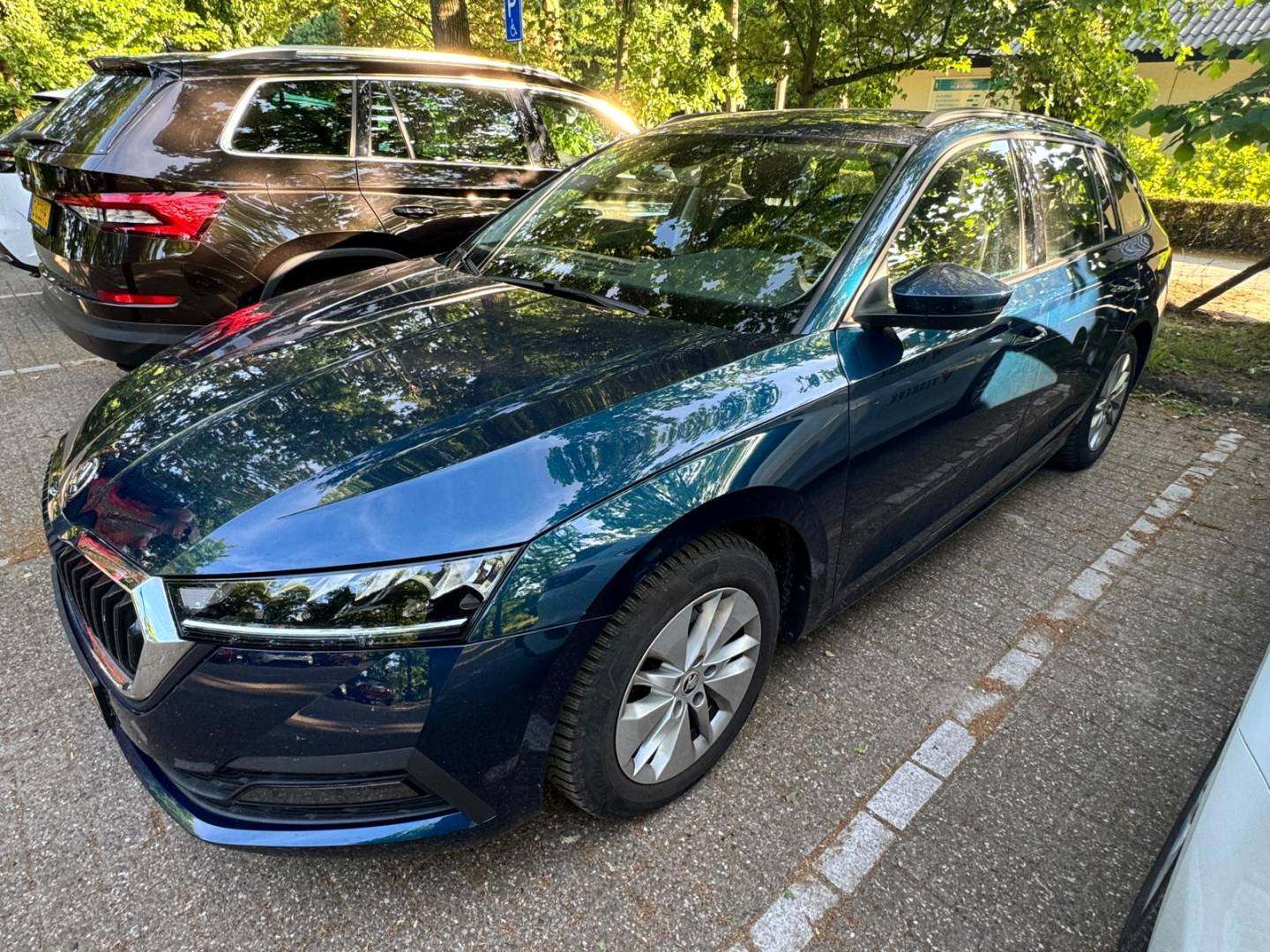 Skoda1.jpg
