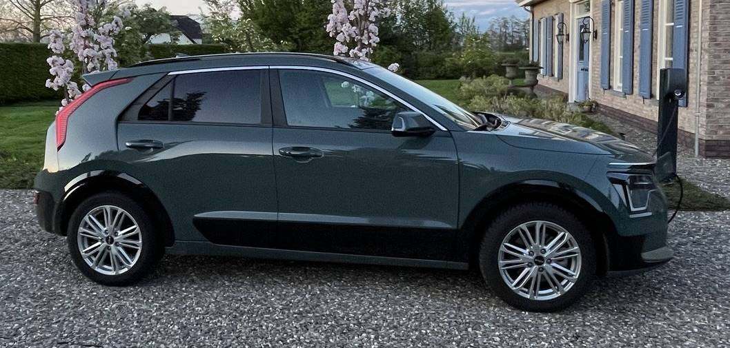 niro 3.jpeg