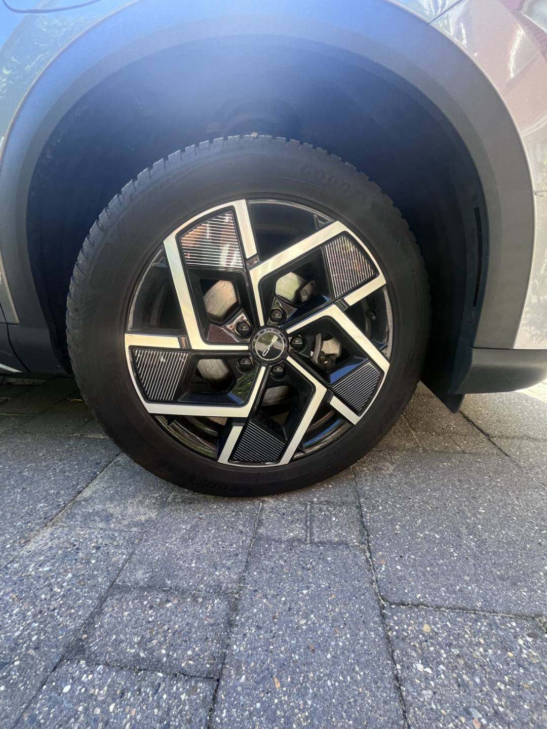 BYD7.jpg