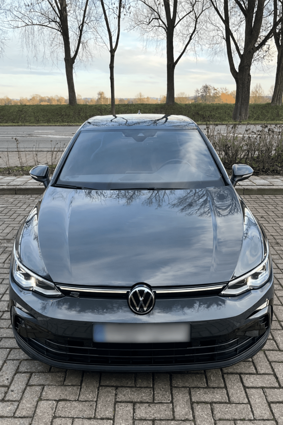 Golf - blurred plate 3_0.jpg