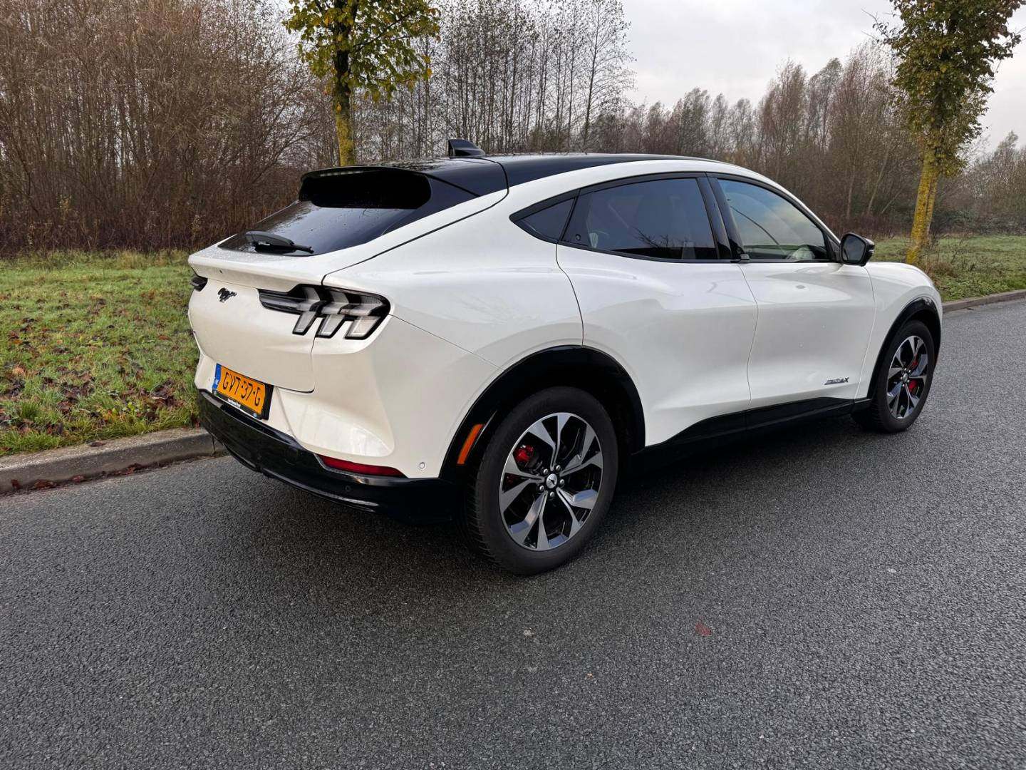 WhatsApp Image 2025-11-25 at 11.08.46_0.jpeg