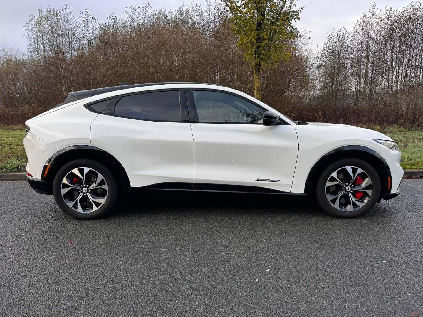 WhatsApp Image 2025-11-25 at 11.08.47_0.jpeg