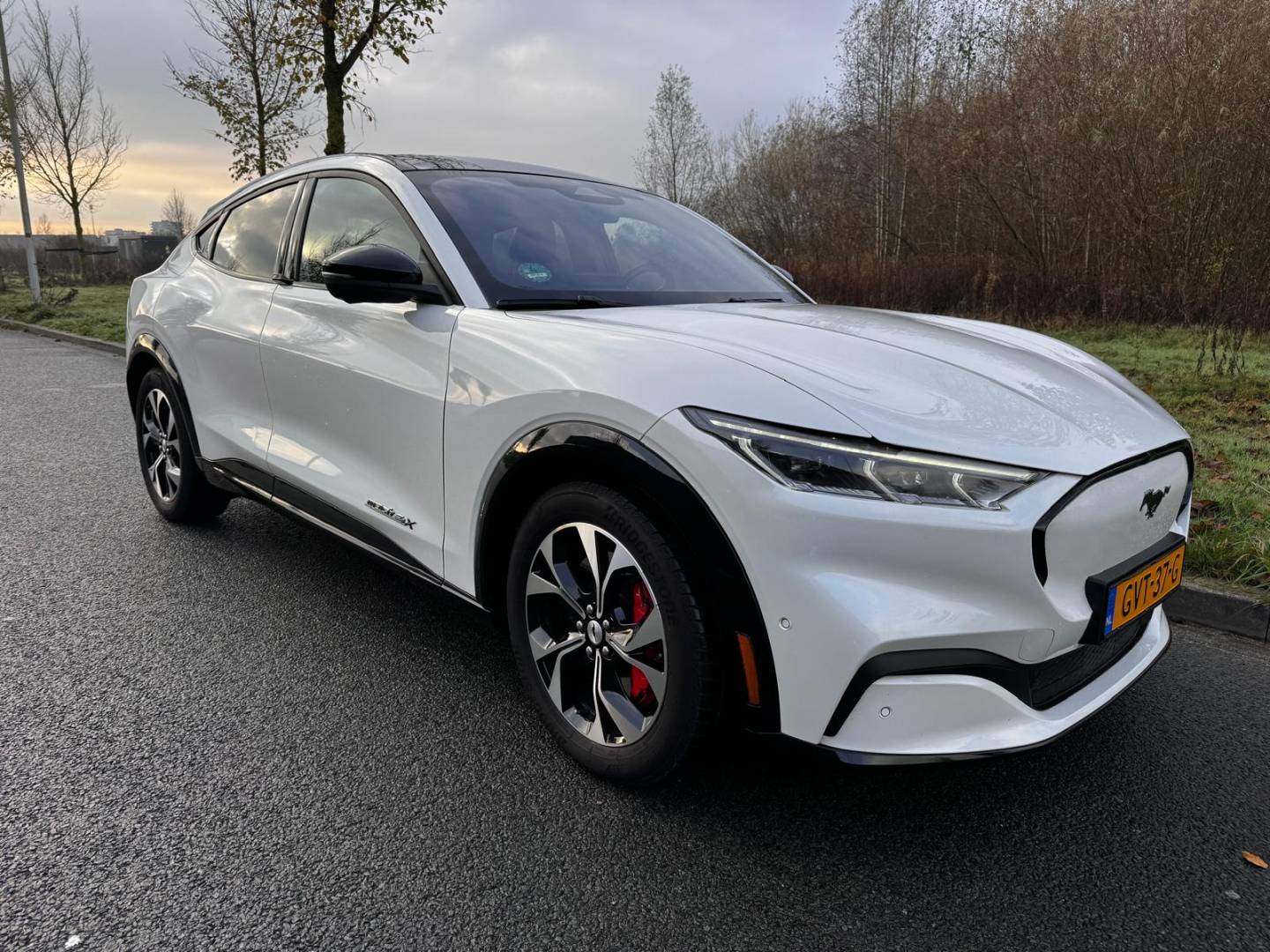 WhatsApp Image 2025-11-25 at 11.08.48_0.jpeg