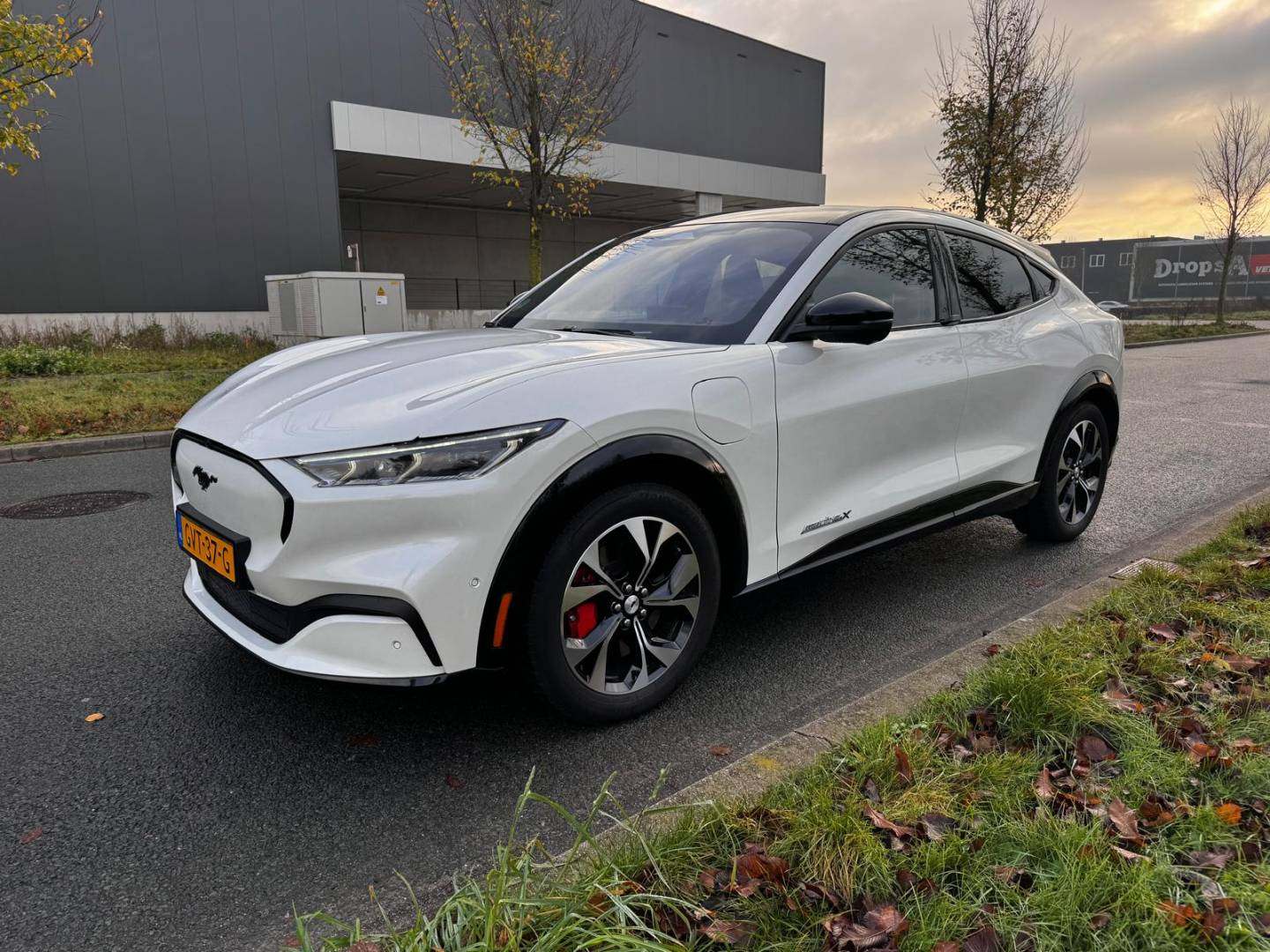 WhatsApp Image 2025-11-25 at 11.08.50_0.jpeg