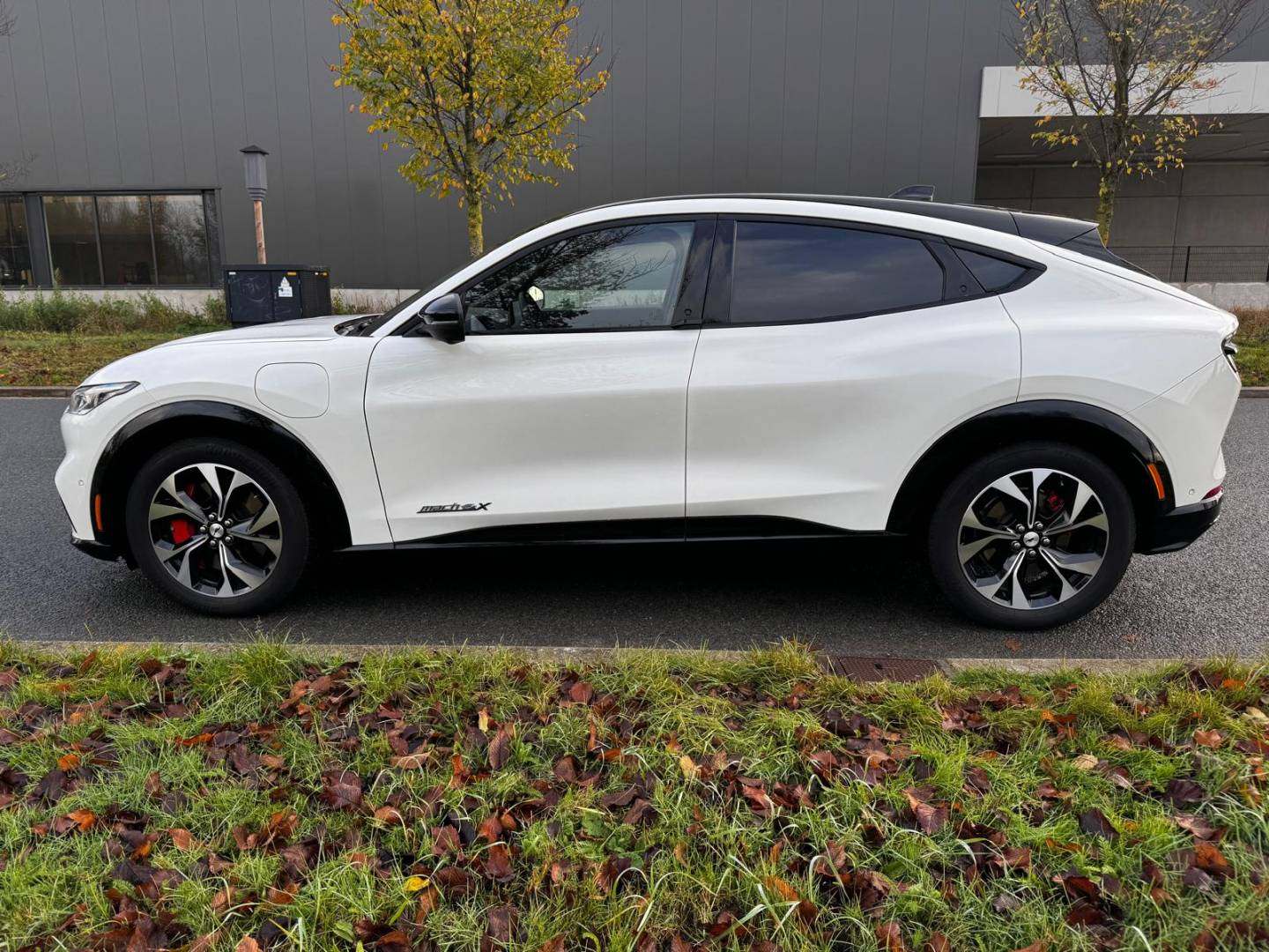 WhatsApp Image 2025-11-25 at 11.08.51_0.jpeg