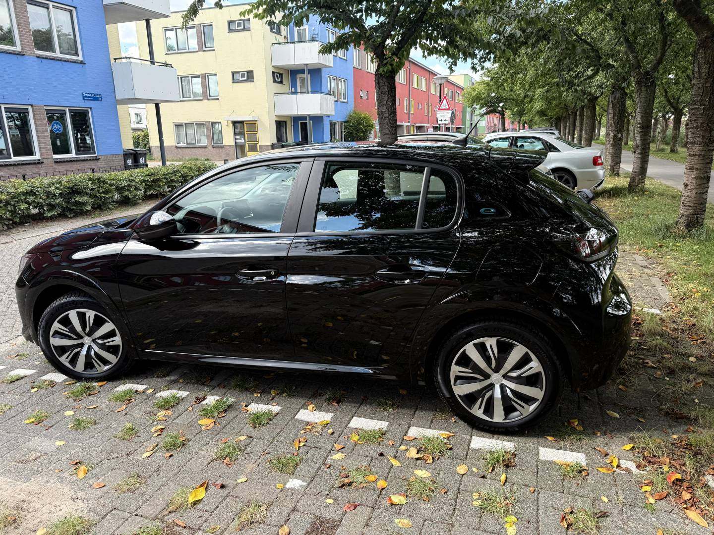 WhatsApp Image 2026-01-13 at 15.15.38.jpeg